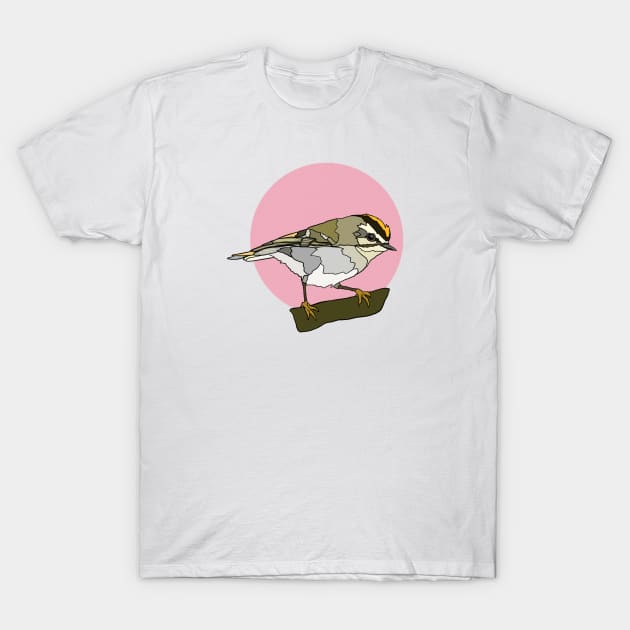 Golden Crowned Kinglet T-Shirt by New World Aster 